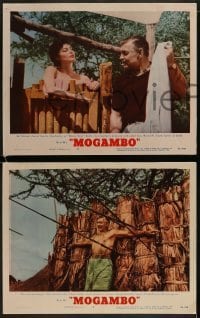 2h733 MOGAMBO 3 LCs 1953 Clark Gable, Grace Kelly & Ava Gardner in Africa!