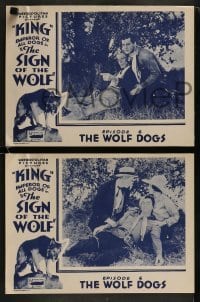 2h549 SIGN OF THE WOLF 5 chapter 6 LCs 1931 serial from Jack London's story, The Wolf Dogs!