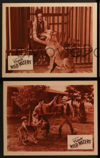 2h663 WILD WATERS 4 LCs 1935 great images of Flash the German Shepherd Wonder Dog!