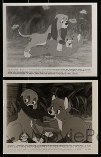 2m309 FOX & THE HOUND 13 8x10 stills 1981 friends who didn't know they were supposed to be enemies!