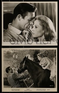2m627 MARNIE 8 8x10 stills 1964 Alfred Hitchcock, cool images of Sean Connery and Tippi Hedren!