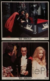 2m076 OLD DRACULA 8 8x10 mini LCs 1975 Vampira, David Niven as the Count, Clive Donner, wacky images!