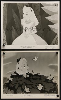 2x775 ALICE IN WONDERLAND 2 8x10 stills 1951 Walt Disney animated classic, great cartoon images!