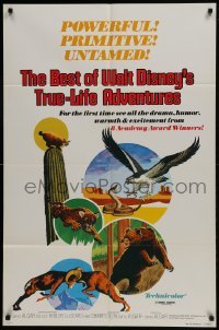 2x268 BEST OF WALT DISNEY'S TRUE-LIFE ADVENTURES 1sh 1975 powerful, primitive, cool animal art!