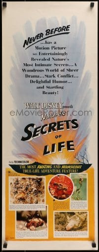2x236 SECRETS OF LIFE insert 1956 Disney's most amazing & miraculous True Life Adventure feature!