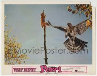 2x427 PERRI LC 1957 Walt Disney True Life, cool image of squirrel attacked by bird of prey!