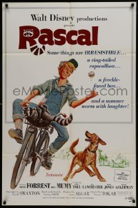 2x332 RASCAL 1sh 1969 Walt Disney, great art of Bill Mumy on bike with raccoon & dog!