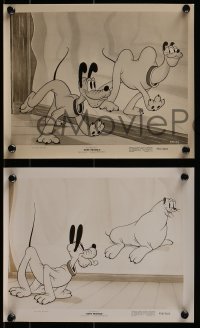 2x757 BONE TROUBLE 4 8x10 stills R1956 Walt Disney, images of Pluto and huge bull dog, mirror images!