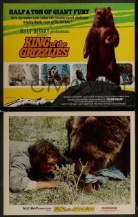 2x456 KING OF THE GRIZZLIES 9 LCs 1970 Walt Disney, half a ton of giant fury, ruler of the Rockies!
