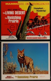 2x460 LIVING DESERT/VANISHING PRAIRIE 9 LCs 1971 great images from Walt Disney wildlife double-bill!