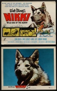 2x493 NIKKI 8 LCs 1961 Walt Disney, Curwood, Jean Coutu, Emile Genest, wild dog movie!