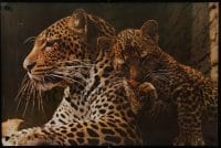 2z531 PORTAL PUBLICATIONS 24x36 commercial poster 1980s great close-up portrait of jaguars!