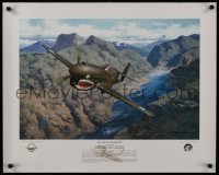 2z650 DECISIVE MOMENT 24x30 special poster 2000s P40-E airplane and dogfight by Roy Grinnell!