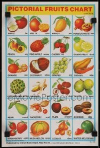 2z782 PICTORIAL FRUITS CHART 10x15 Indian special poster 1970s cool info and artwork!
