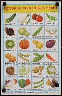 2z783 PICTORIAL VEGETABLES CHART 10x15 Indian special poster 1970s cool info and artwork!