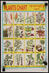 2z787 PLANTS CHART 10x15 Indian special poster 1970s cool info and artwork, rice and more!