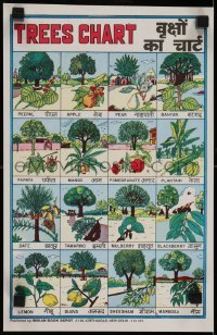 2z842 TREES CHART 10x15 Indian special poster 1970s cool info and artwork, so many trees!