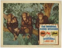 3c863 STOP LOOK & LAUGH LC #6 1960 There Stooges, three wacky chimpanzees sitting on tree!
