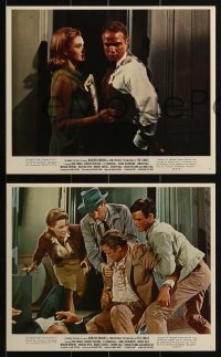 3d122 CHASE 3 color 8x10 stills 1966 Marlon Brando, Jane Fonda, Robert Redford, directed by Arthur Penn