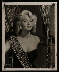 3d852 DOROTHY MALONE 3 8x10 stills 1950s wonderful portrait images of the sexy star!