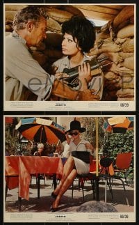 3d098 JUDITH 6 color 8x10 stills 1966 Daniel Mann directed, sexiest Sophia Loren & Peter Finch!