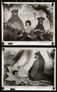 3d511 JUNGLE BOOK 8 8x10 stills 1967 Disney, great cartoon images of Mowgli & his friends!