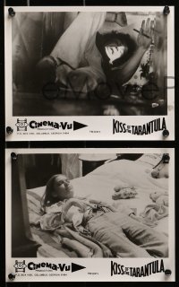 3d356 KISS OF THE TARANTULA 12 8x10 stills 1975 she had power with her lips and her pet spiders!