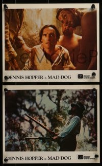 3d053 MAD DOG 8 color 8x10 stills 1976 directed by Philippe Mora, cool images of Dennis Hopper!