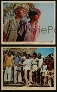 3d113 MAYA 4 color 8x10 stills 1966 John Berry directed, cool Indian elephant & cobra images!