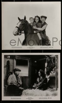 3d793 NATIONAL VELVET 4 8x10 stills R1971 horse racing classic with Mickey Rooney & Elizabeth Taylor!