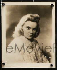 3d713 NOVA PILBEAM 5 8x10 stills 1940s cool portraits of the English star from a variety of roles!