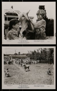 3d721 RIDE A WILD PONY 5 8x10 stills 1976 Walt Disney, cool images of boy, horse and train!