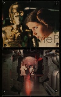 3d074 STAR WARS 8 color deluxe 8x10 stills 1977 George Lucas classic epic, Luke, Leia, Han, Vader!