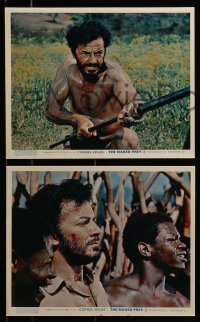 3d159 NAKED PREY 8 color English FOH LCs 1965 Cornel Wilde stripped and weaponless in Africa!