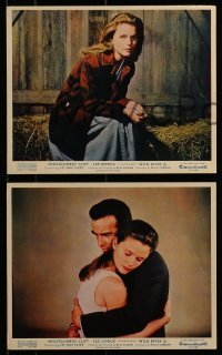3d172 WILD RIVER 7 color English FOH LCs 1960 Elia Kazan, Montgomery Clift and Lee Remick!