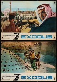 3f130 EXODUS group of 7 Italian 19x27 pbustas R1960s classic Otto Preminger Israeli Independence epic!