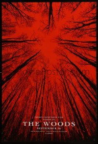 3g175 BLAIR WITCH teaser DS 1sh 2016 evil is hiding in The Woods, wacky fake title, red background!