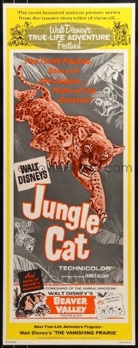 3j024 BEAVER VALLEY/JUNGLE CAT insert 1964 Walt Disney double-bill, cool art of leaping big cat!