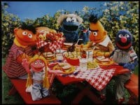 3k954 SESAME STREET 24x32 German commercial poster 1998 Ernie, Cookie Monster & more having picnic!