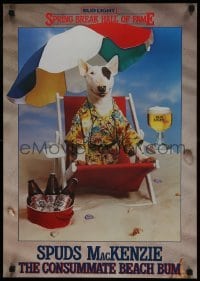 3k269 BUDWEISER 19x27 advertising poster 1985 wacky dog Spuds MacKenzie the consummate beach bum!