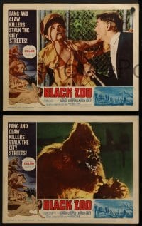3r405 BLACK ZOO 7 LCs 1963 cool horror images of fang and claw killers on the prowl!