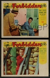 3r807 FORBIDDEN 3 LCs 1954 only Joanne Dru could give Tony Curtis the kind of love he needed!