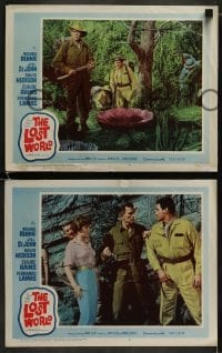 3r608 LOST WORLD 5 LCs 1960 Michael Rennie battles dinosaurs in the Amazon Jungle!