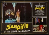 3t870 SUSPIRIA Italian 19x27 pbusta 1977 Dario Argento horror, different images of Jessica Harper!