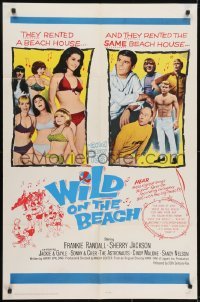 3y963 WILD ON THE BEACH 1sh 1965 Frankie Randall, Sherry Jackson, Sonny & Cher, teen rock & roll!