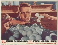 3z472 COOL HAND LUKE LC #8 1967 great close up of Paul Newman in classic egg eating scene!