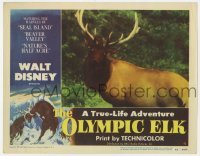 3z755 OLYMPIC ELK LC #4 1952 Walt Disney True Life Adventure nature documentary, great close up!