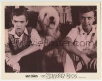 3z840 SHAGGY DOG LC R1967 Disney, c/u of him sitting between Tommy Kirk & Tim Considine!