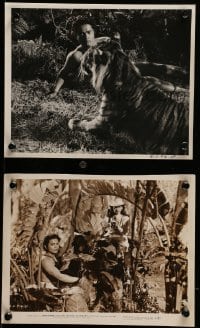 4a973 SONG OF INDIA 2 8x10 stills 1949 pretty Gail Russell, Sabu, great jungle images!