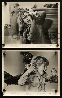 4a593 BIRDS 5 8x10 stills 1963 Alfred Hitchcock, with classic c/u of Tippi Hedren attacked by bird!